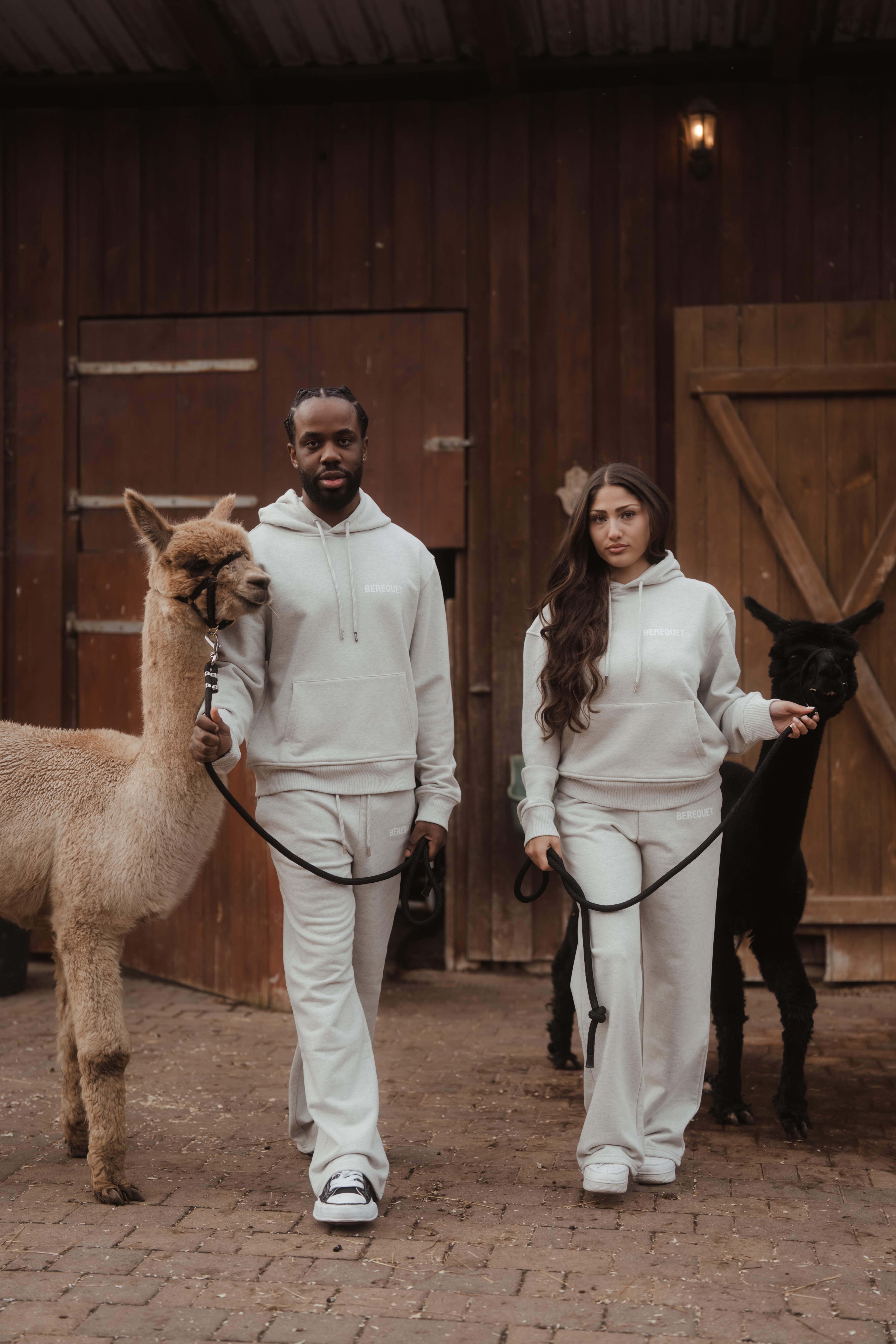 Professionelles Shooting mit Alpakas – Tiny Alpaca Town