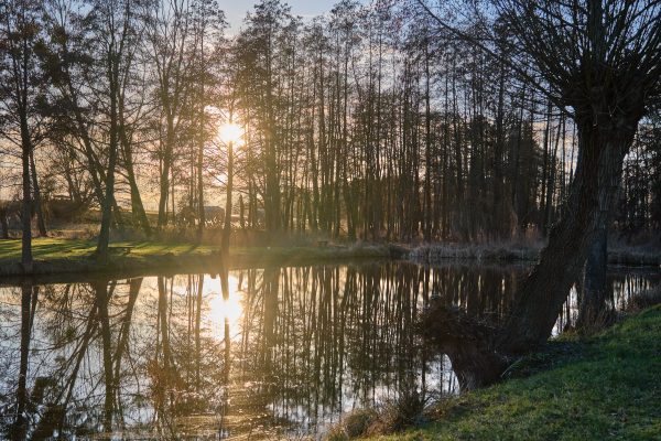Alpaka Farm Brandenburg nahe Berlin – Tiny Alpaca Town Alpaka Farm Brandenburg nahe Berlin - Natur Teich Tiny Alpaca Town